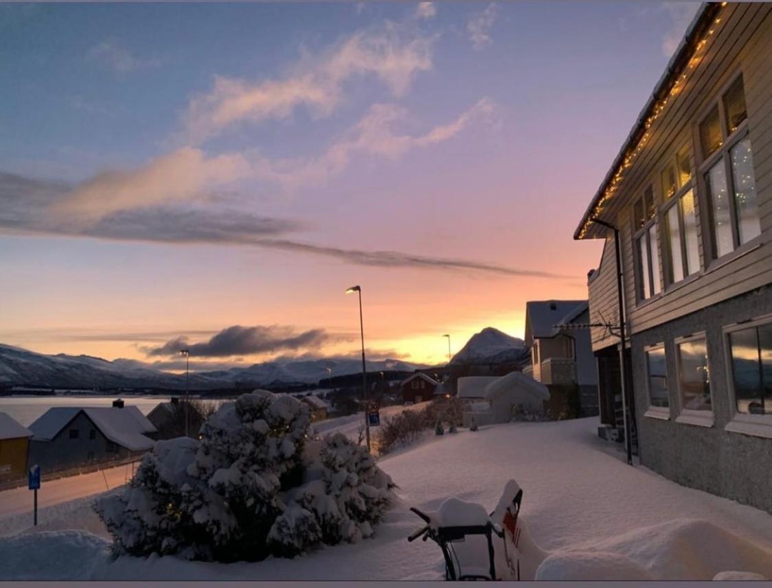 Lyngen, Mackay Appartment, Lyngen Lyngseidet Bagian luar foto