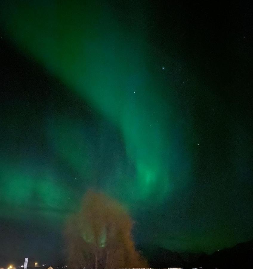 Lyngen, Mackay Appartment, Lyngen Lyngseidet Bagian luar foto