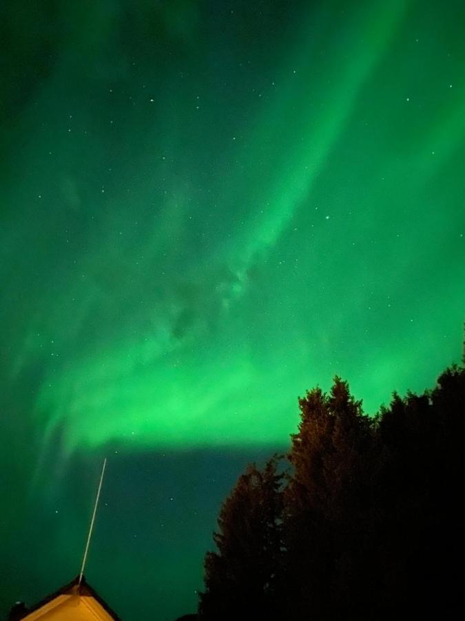 Lyngen, Mackay Appartment, Lyngen Lyngseidet Bagian luar foto