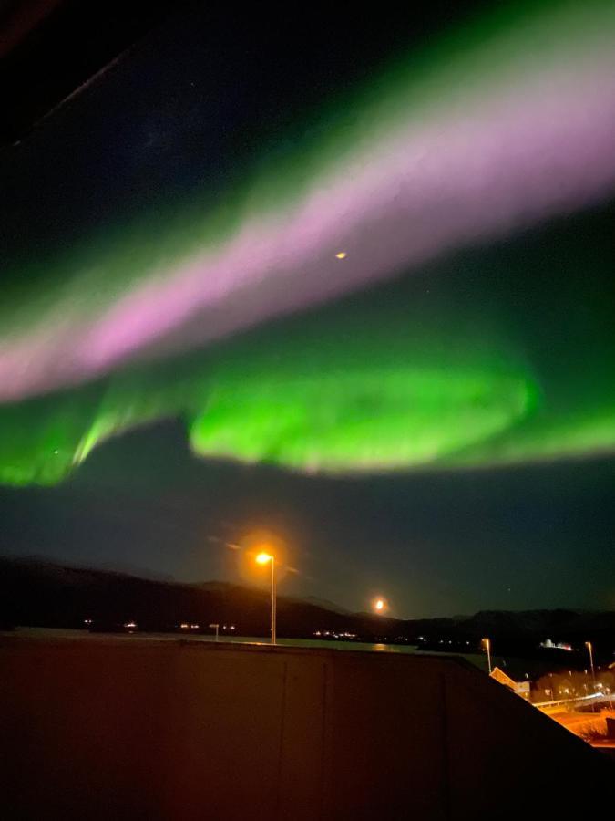 Lyngen, Mackay Appartment, Lyngen Lyngseidet Bagian luar foto