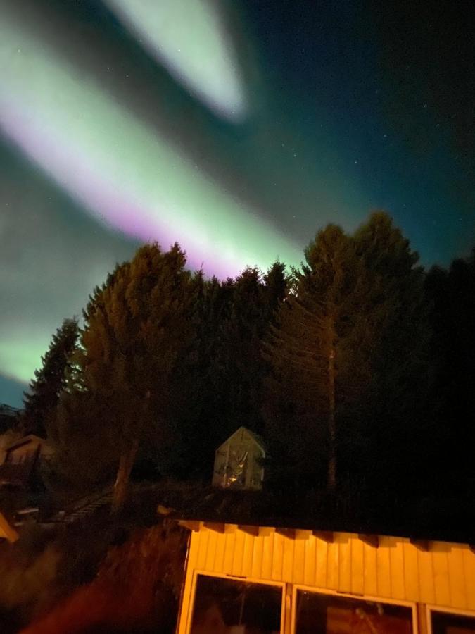 Lyngen, Mackay Appartment, Lyngen Lyngseidet Bagian luar foto